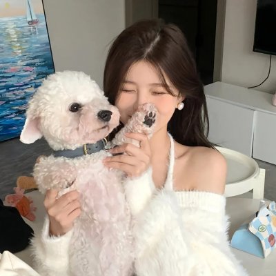 公牛