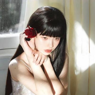 盗贼泰瑞莎